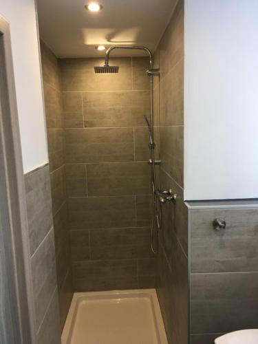 a shower stall in a bathroom with a toilet at Ferienwohnung Reinhold in Sankt Englmar