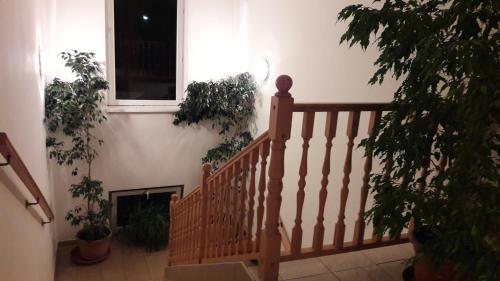 a staircase in a house with potted plants at PENZION EUROPA Diakovce in Diakovce