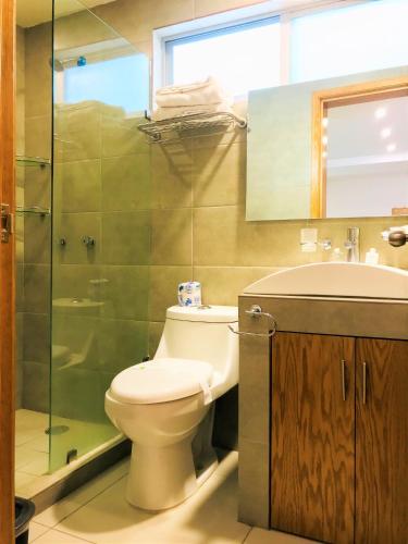 a bathroom with a toilet and a sink and a shower at Hotel & Suites Victoria in San Luis Potosí