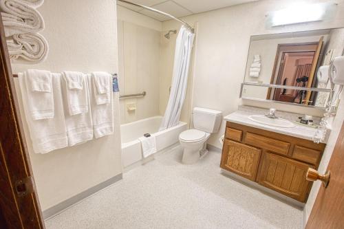 Wedgewood Resort في فيربانكس: حمام مع حوض ومرحاض ومرآة