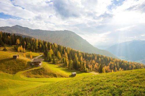 a green hill with a truck on the side of it at Unterhabererhof in Santa Maddalena in Casies