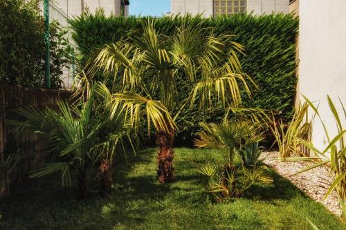 a group of palm trees in a yard at Le Palme Rooms & Breakfast in Trento
