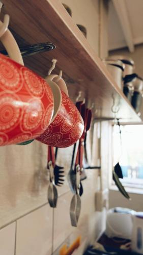 a bunch of utensils hanging on a wall in a kitchen at Buccaneers Beach Lodge, Chintsa, South Africa in Chintsa