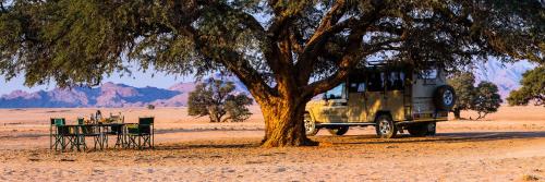 a jeep parked next to a tree in the desert at Dead Valley Lodge in Sesriem