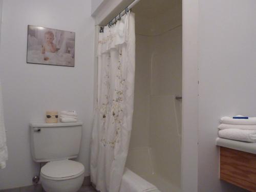 a bathroom with a shower curtain and a toilet at Motel Becancour in Bécancour