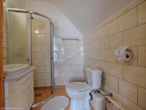 a bathroom with a toilet and a sink and a shower at Brzozowe Zacisze in Łagów