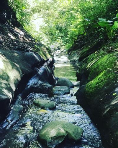 a stream of water with rocks and trees at Bridge12th B&B in Yanliau