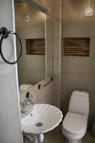 a bathroom with a sink and a toilet at Hotel Delisi in Tbilisi City