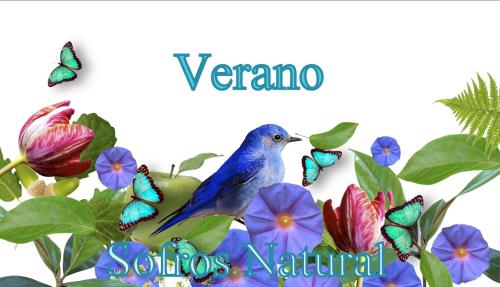 Zdjęcie z galerii obiektu Slow House y La cabaña de Miss Slower w mieście Nigrán