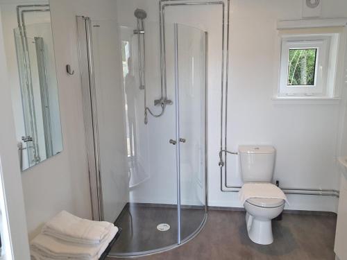 uma casa de banho com uma cabina de duche em vidro e um WC. em Rasta Götene em Götene