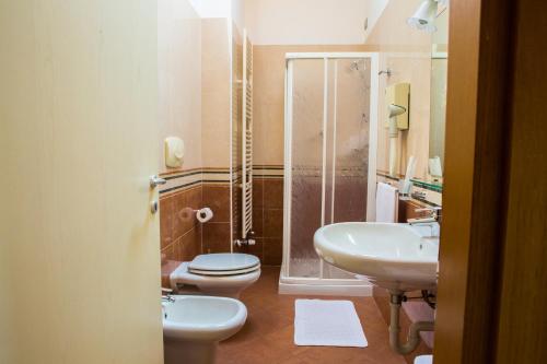 a bathroom with a toilet and a sink and a shower at Agriturismo dei Grippi in Sona