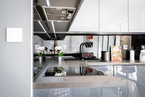 una cocina con armarios blancos y fregadero en Dream LUX Apartments en Cracovia