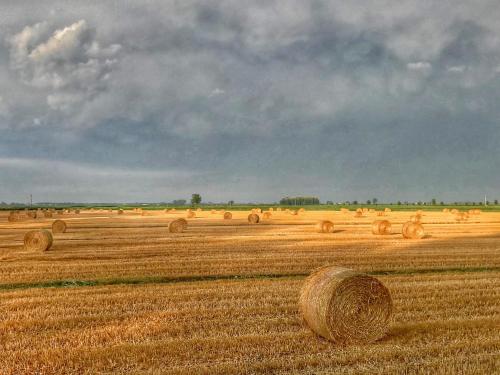 a field filled with lots of hay bales at Al Vecchio Fienile in San Michele al Tagliamento