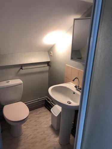 une petite salle de bain avec toilettes et lavabo dans l'établissement Une escapade tranquille, proche de la plage !, à Dunkerque