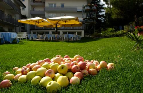 a pile of apples on the grass with an umbrella at Hotel Piccolo Mondo in Nago-Torbole