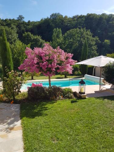un arbre aux fleurs roses près d'une piscine dans l'établissement Sous les Remparts, à Solignac