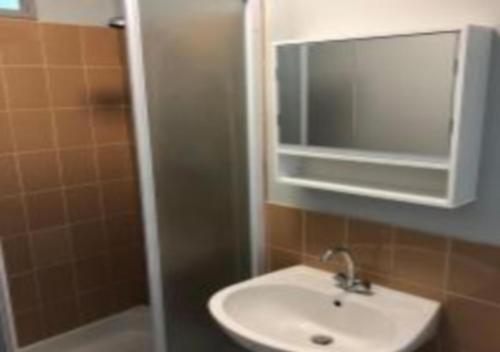 La salle de bains est pourvue d'un lavabo, d'un miroir et d'une douche. dans l'établissement Une virée à Dunkerque entre ville et plage, à Dunkerque