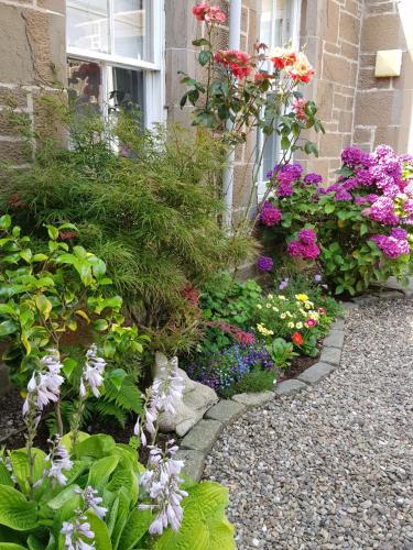 a garden of flowers in front of a building at Westwood Cottage in Dundee