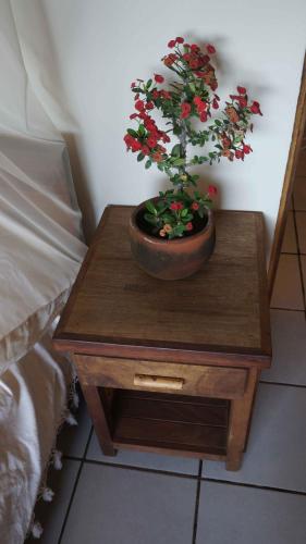 a potted plant on a table next to a bed at Casa Aditi in Mazunte