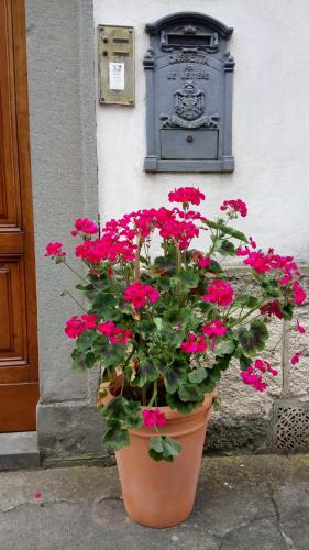 Κήπος έξω από το Casa Bartolacci Charme in Bivigliano (Near Mugello and Florence)