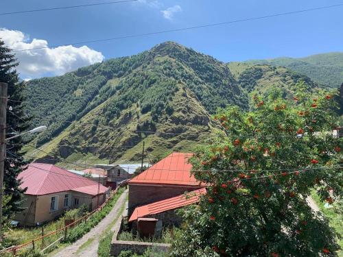 einen Berg mit einem Haus und einem Baum mit Orangen darauf in der Unterkunft Tamila Guest House in Kazbegi