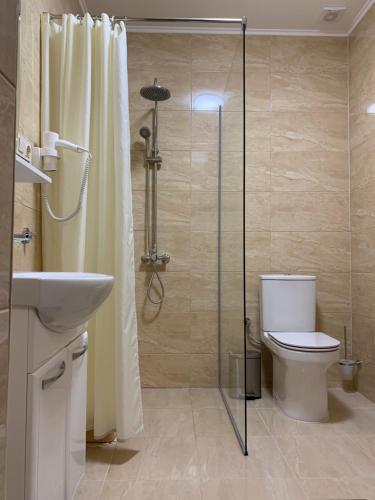 a bathroom with a shower with a toilet and a sink at Сонячна Соната in Polyana