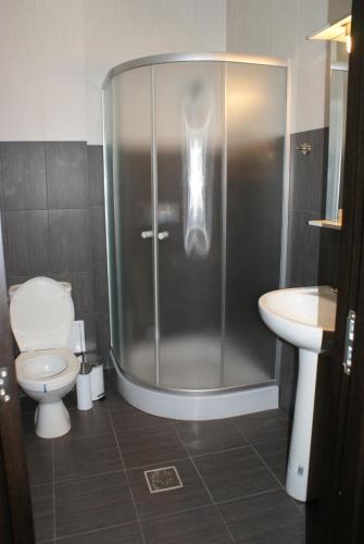 a bathroom with a shower and a toilet and a sink at TROPHAEUM TRAIANI in Adamclisi
