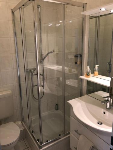 ein Bad mit einer Dusche, einem WC und einem Waschbecken in der Unterkunft Gästehaus Am Vogelsang in Kerpen