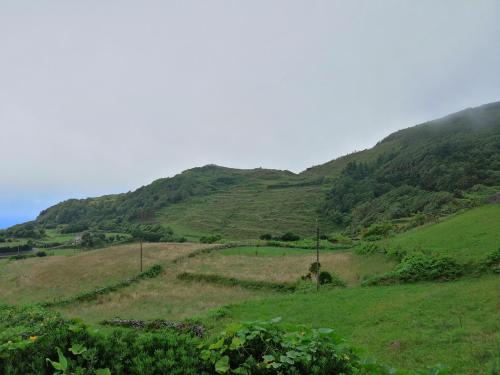 a green hillside with a field of grass at A casa do Tí Mendonça in Lajes das Flores