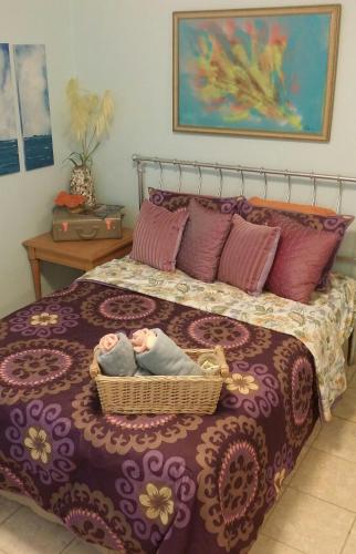 a baby in a basket on a bed at Casa Bonita Inn in La Parguera