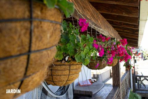 a group of flowers in baskets hanging from a balcony at Guatapé Country House Hotel in Guatapé