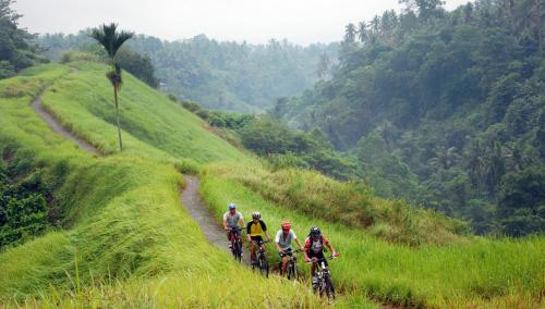 a group of people riding bikes down a hill at Chapung Sebali Resort in Ubud