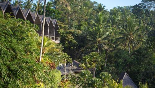 a house in the middle of a jungle with trees at Chapung Sebali Resort in Ubud
