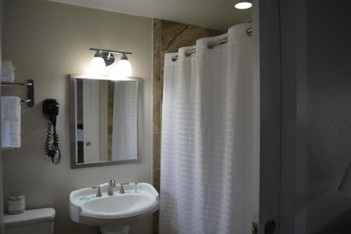 baño con lavabo y cortina de ducha en The Suwannee Gables Motel & Marina, en Old Town
