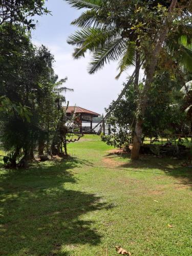 Jardin de l'établissement Selavi Resort Bentota