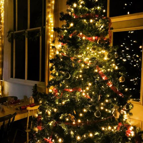 a christmas tree in a living room with lights at Hassop Station rooms on the Monsal Trail in Bakewell