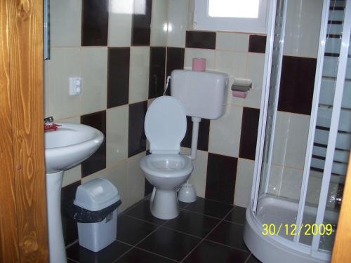 Un baño pequeño con inodoro y lavabo. en Casa Bella, en Râșnov