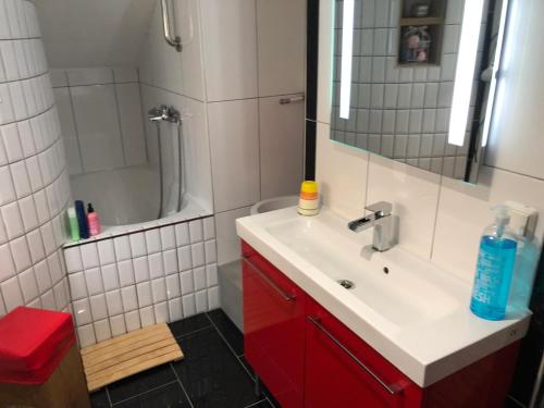 a bathroom with a red sink and a shower at Simple room in Luxembourg city in Luxembourg