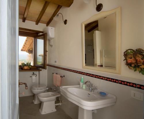 a bathroom with a sink and a toilet and a mirror at Poggio del Bolognino in Lugnano in Teverina