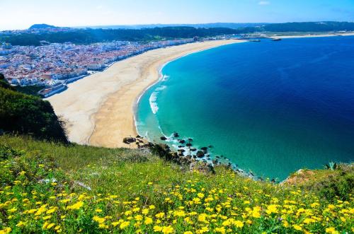 a view of a beach with yellow flowers on a hill at O Veleiro Apartment in Nazaré