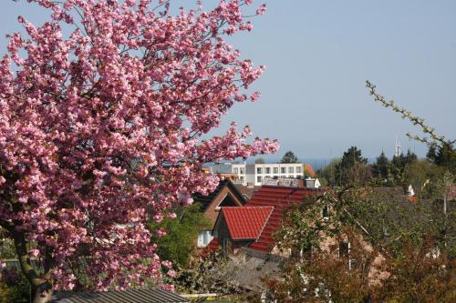 Κήπος έξω από το Ferienwohnung Nordlicht Laboe