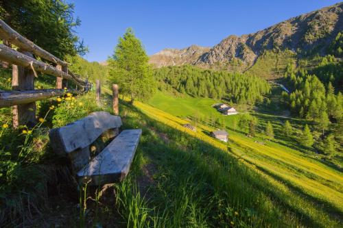 a bench sitting on a hill overlooking a valley at Unterhabererhof in Santa Maddalena in Casies