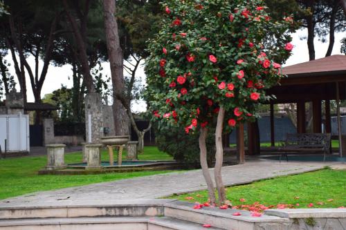 a tree with red roses in a park at Mancini Park Hotel in Mostacciano 