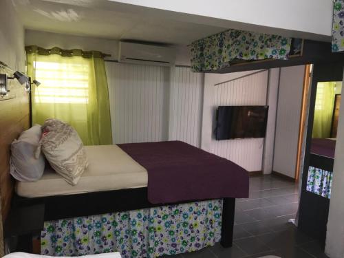 a bedroom with a bed and a tv in it at Coconut Studio in Capesterre-Belle-Eau