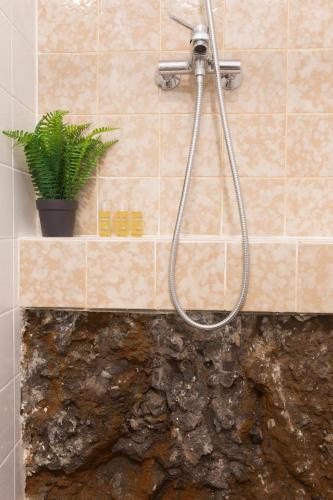 a shower in a bathroom with a plant on a counter at Rochinha Cozy Home in Funchal