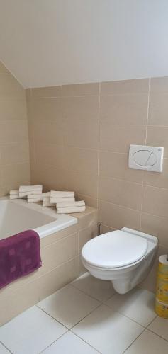 a bathroom with a toilet and a bath tub at Penzion Dolní Dunajovice in Dolní Dunajovice