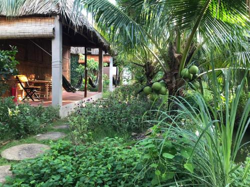 Phuc Sinh Homestayにある庭