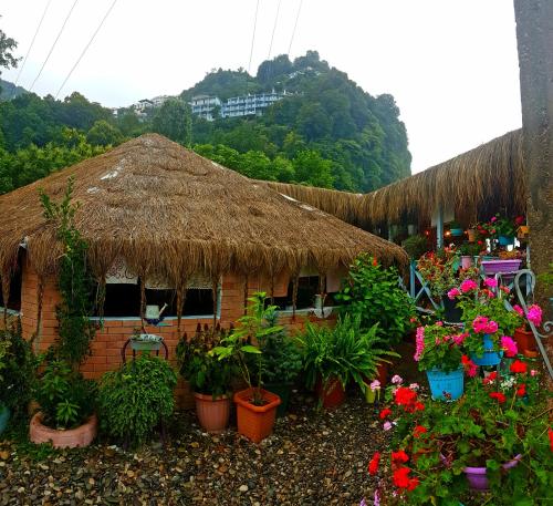 Foto da galeria de Calypso Kvariati Inn em Kvariati
