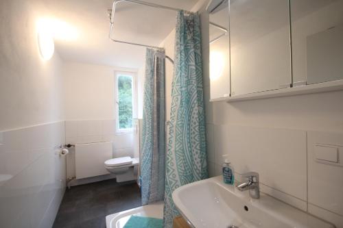 ein Bad mit einem Waschbecken und einem WC in der Unterkunft Moderne, helle 1 Zimmer-Wohnung in Citylage in Bad Urach