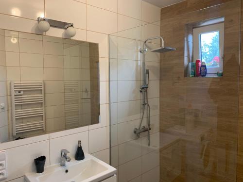 Koupelna v ubytování Tolarova Apartmán